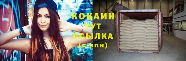 стаф Горняк