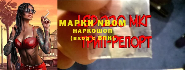 стаф Горняк