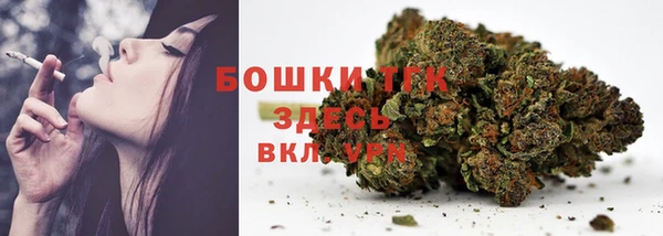 стаф Горняк