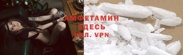 стаф Горняк