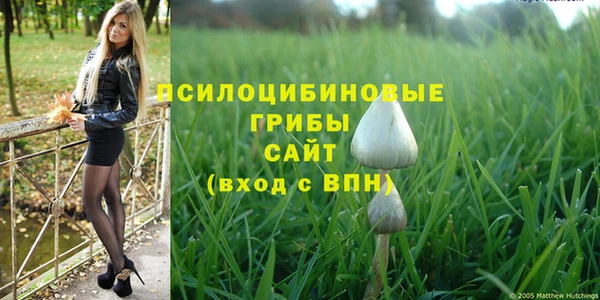 стаф Горняк