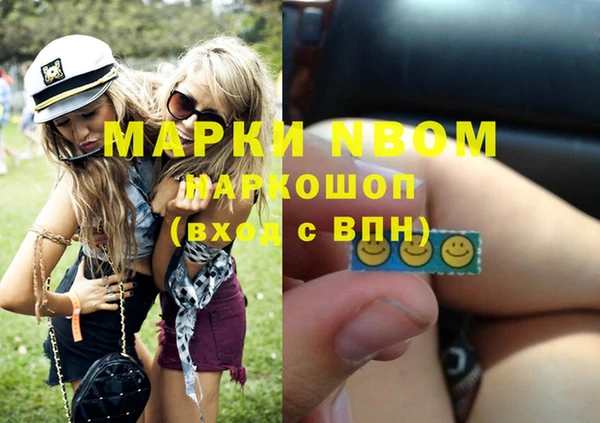 стаф Горняк