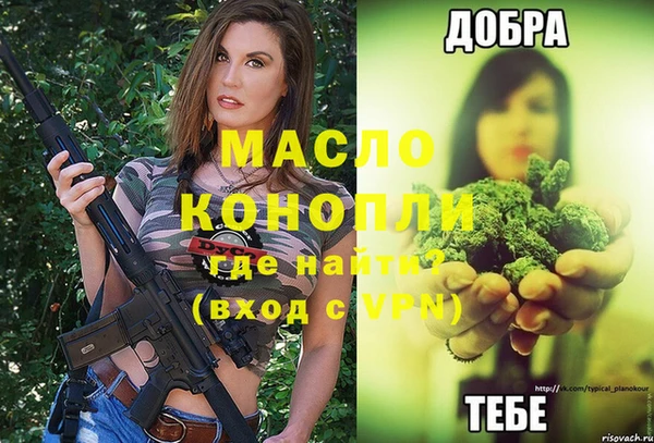 стаф Горняк
