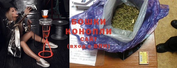 стаф Горняк