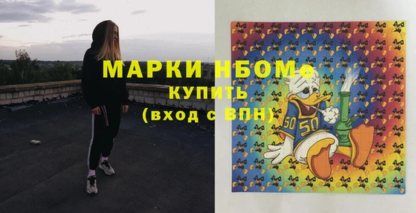 стаф Горняк