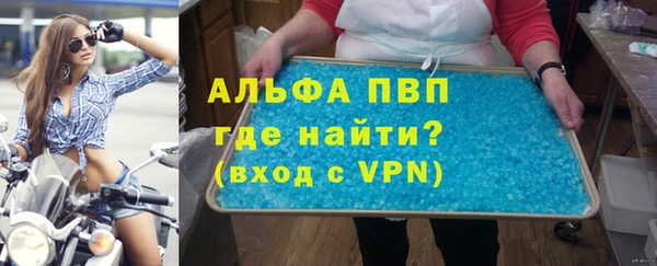 стаф Горняк