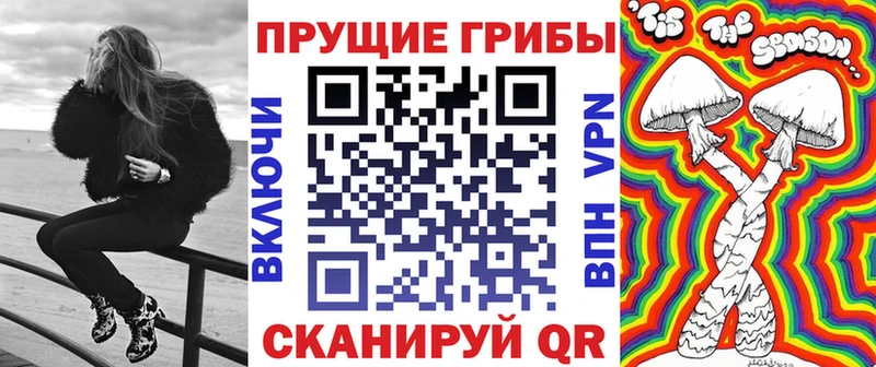 дарк нет телеграм  блэк спрут ссылка  Дятьково  Галлюциногенные грибы мухоморы 